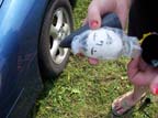 8-25 Samantha Shusdock - Egg after 2nd Launch