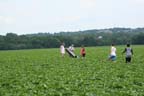 NYPOWER2008_169